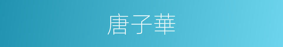 唐子華的同義詞