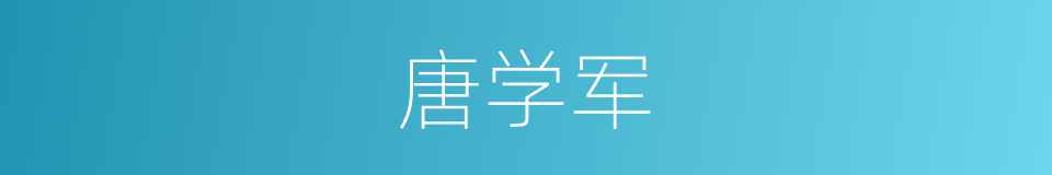 唐学军的同义词