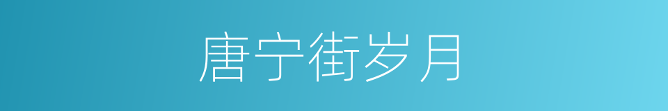 唐宁街岁月的同义词