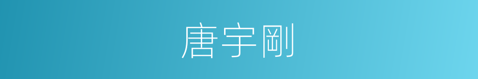 唐宇剛的同義詞