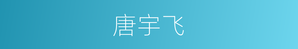 唐宇飞的同义词