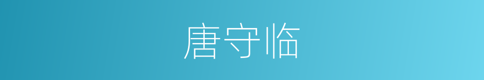 唐守临的同义词