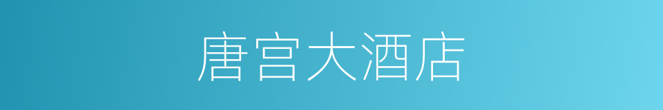 唐宫大酒店的同义词