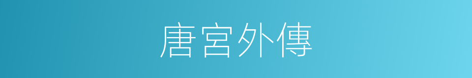 唐宮外傳的同義詞