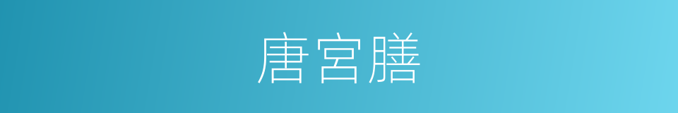 唐宮膳的同義詞
