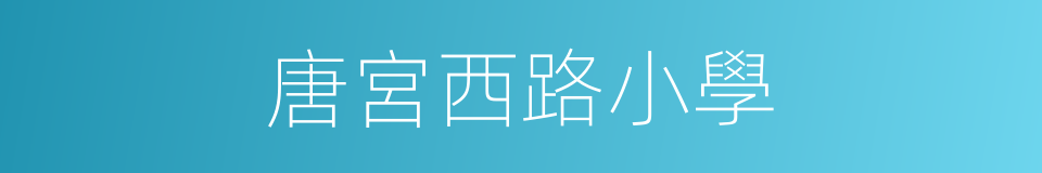 唐宮西路小學的同義詞