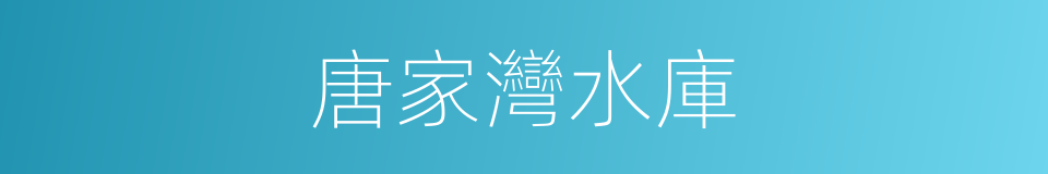 唐家灣水庫的同義詞
