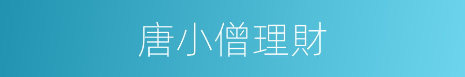 唐小僧理財的同義詞