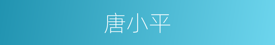 唐小平的同义词