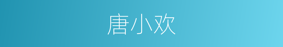 唐小欢的同义词