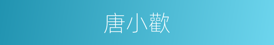 唐小歡的同義詞