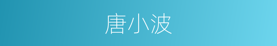 唐小波的同义词