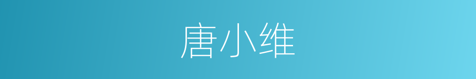 唐小维的同义词