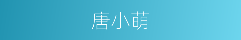 唐小萌的同义词