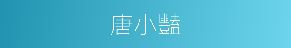 唐小豔的同義詞