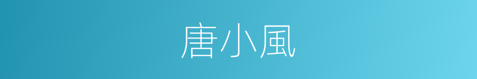 唐小風的同義詞