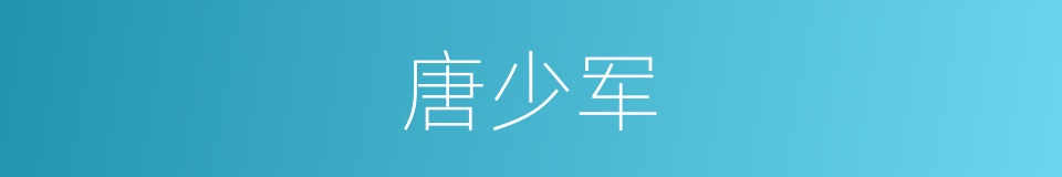 唐少军的同义词