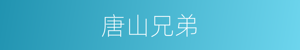 唐山兄弟的同义词