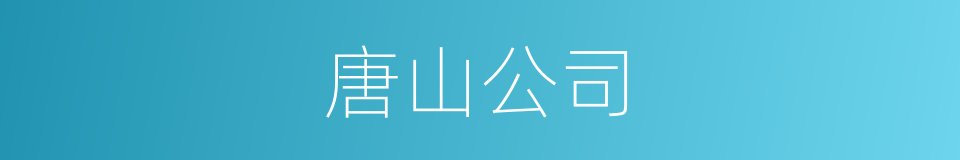 唐山公司的同义词