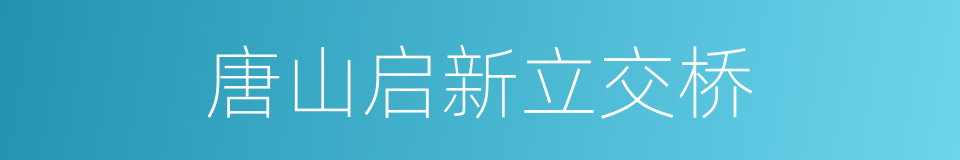 唐山启新立交桥的同义词