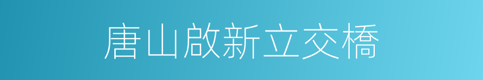 唐山啟新立交橋的同義詞