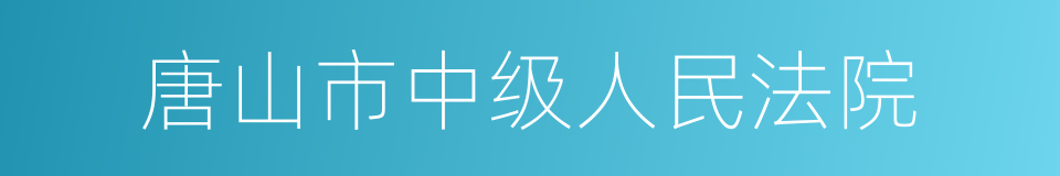 唐山市中级人民法院的同义词