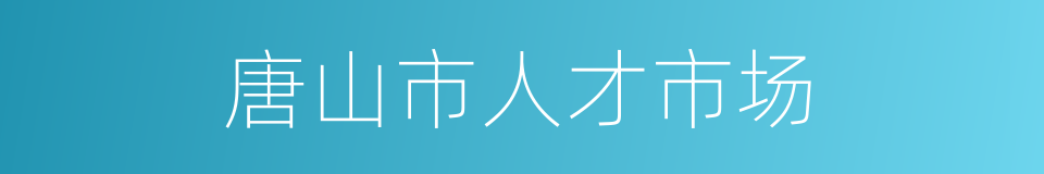 唐山市人才市场的同义词