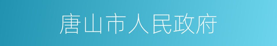 唐山市人民政府的同义词