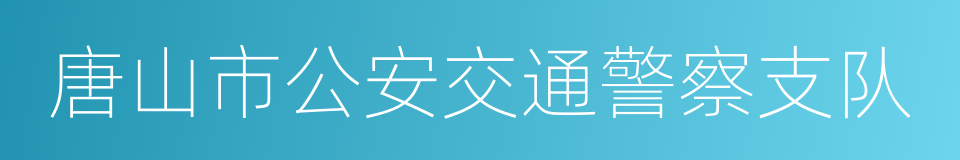 唐山市公安交通警察支队的同义词