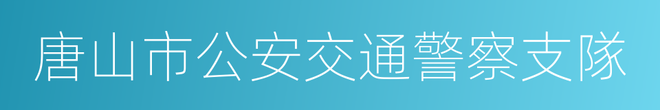 唐山市公安交通警察支隊的同義詞