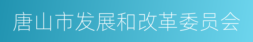 唐山市发展和改革委员会的同义词