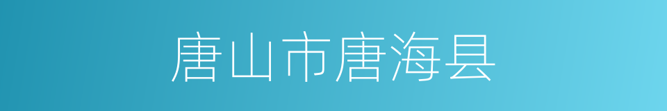 唐山市唐海县的同义词