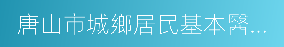 唐山市城鄉居民基本醫療保險實施辦法的同義詞