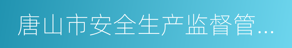 唐山市安全生产监督管理局的同义词