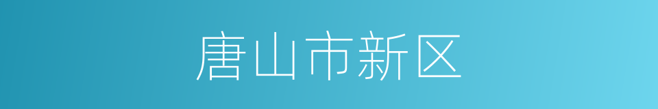 唐山市新区的同义词