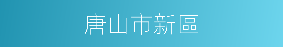 唐山市新區的同義詞