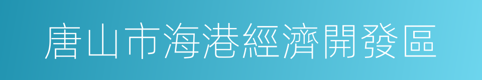 唐山市海港經濟開發區的同義詞