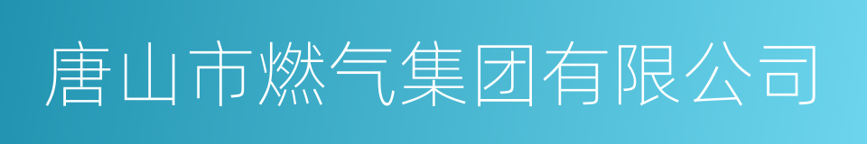 唐山市燃气集团有限公司的同义词