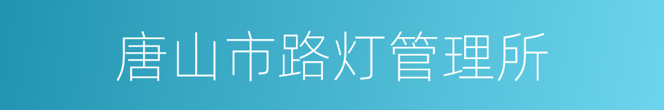 唐山市路灯管理所的同义词