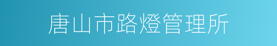 唐山市路燈管理所的同義詞