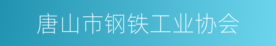 唐山市钢铁工业协会的同义词