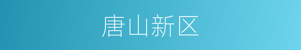 唐山新区的同义词