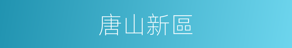 唐山新區的同義詞
