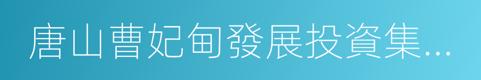 唐山曹妃甸發展投資集團有限公司的同義詞