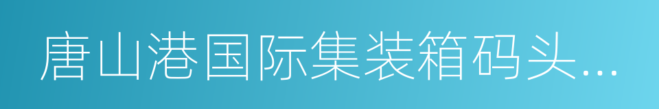 唐山港国际集装箱码头有限公司的同义词