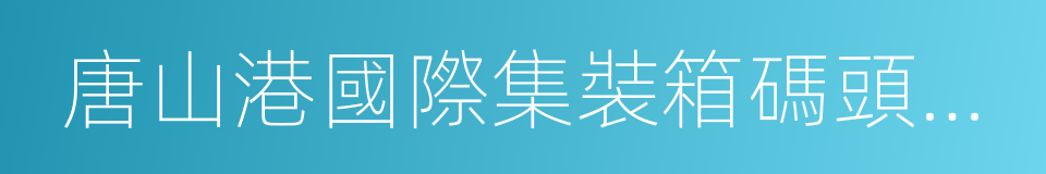 唐山港國際集裝箱碼頭有限公司的同義詞