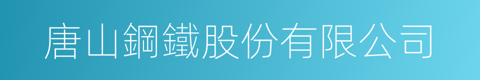 唐山鋼鐵股份有限公司的同義詞