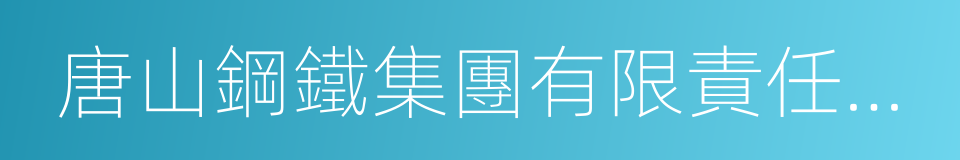唐山鋼鐵集團有限責任公司的同義詞