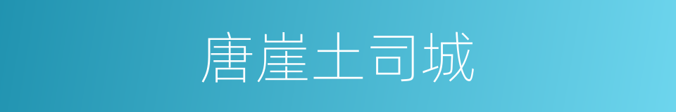 唐崖土司城的同义词