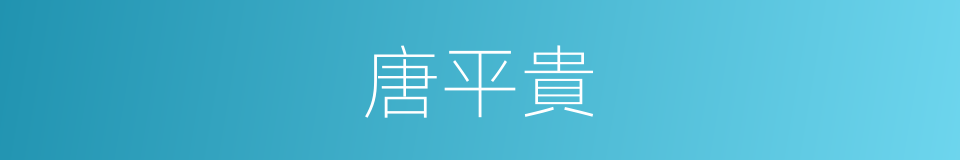 唐平貴的同義詞